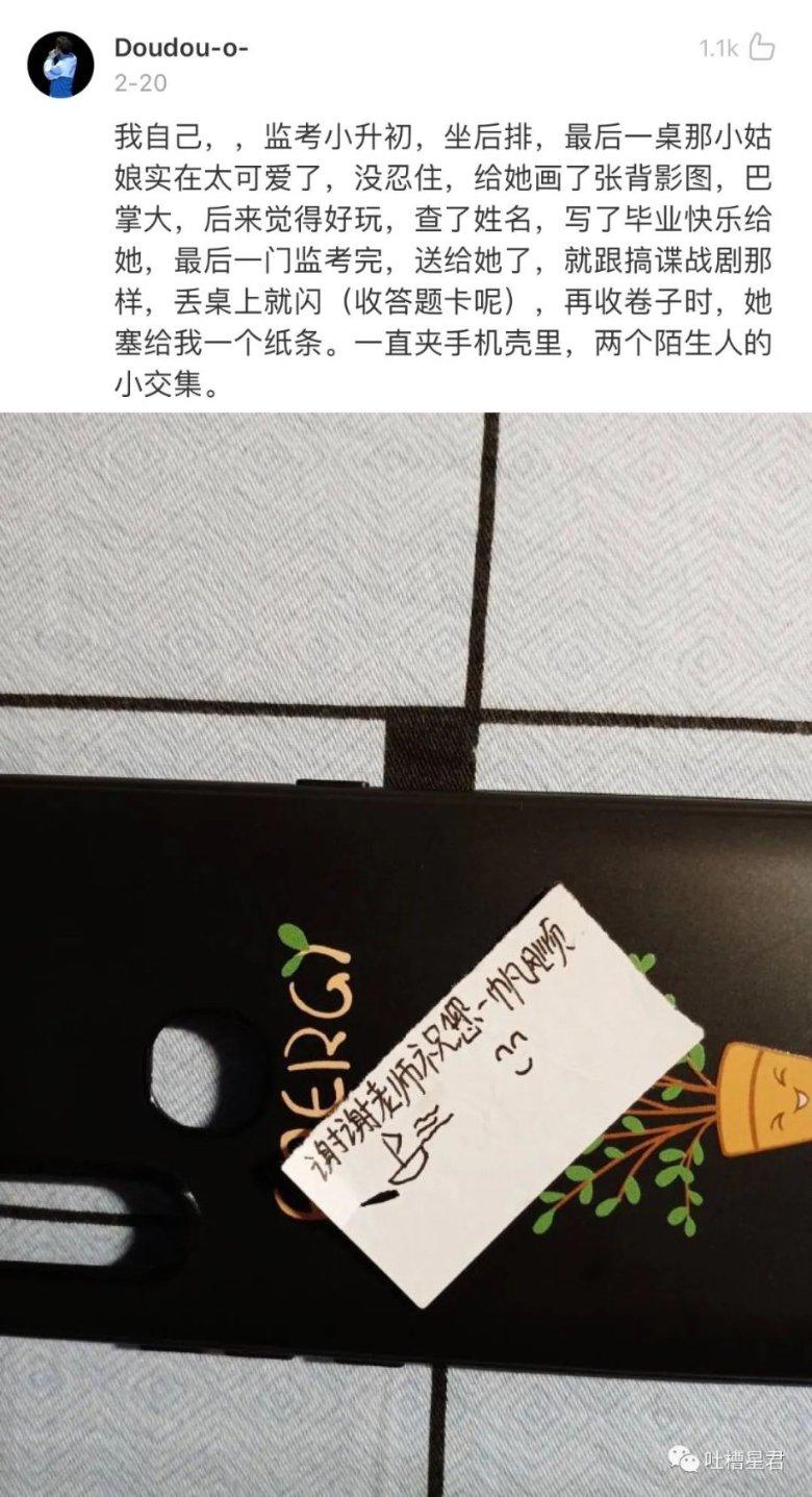 呆萌动物园
