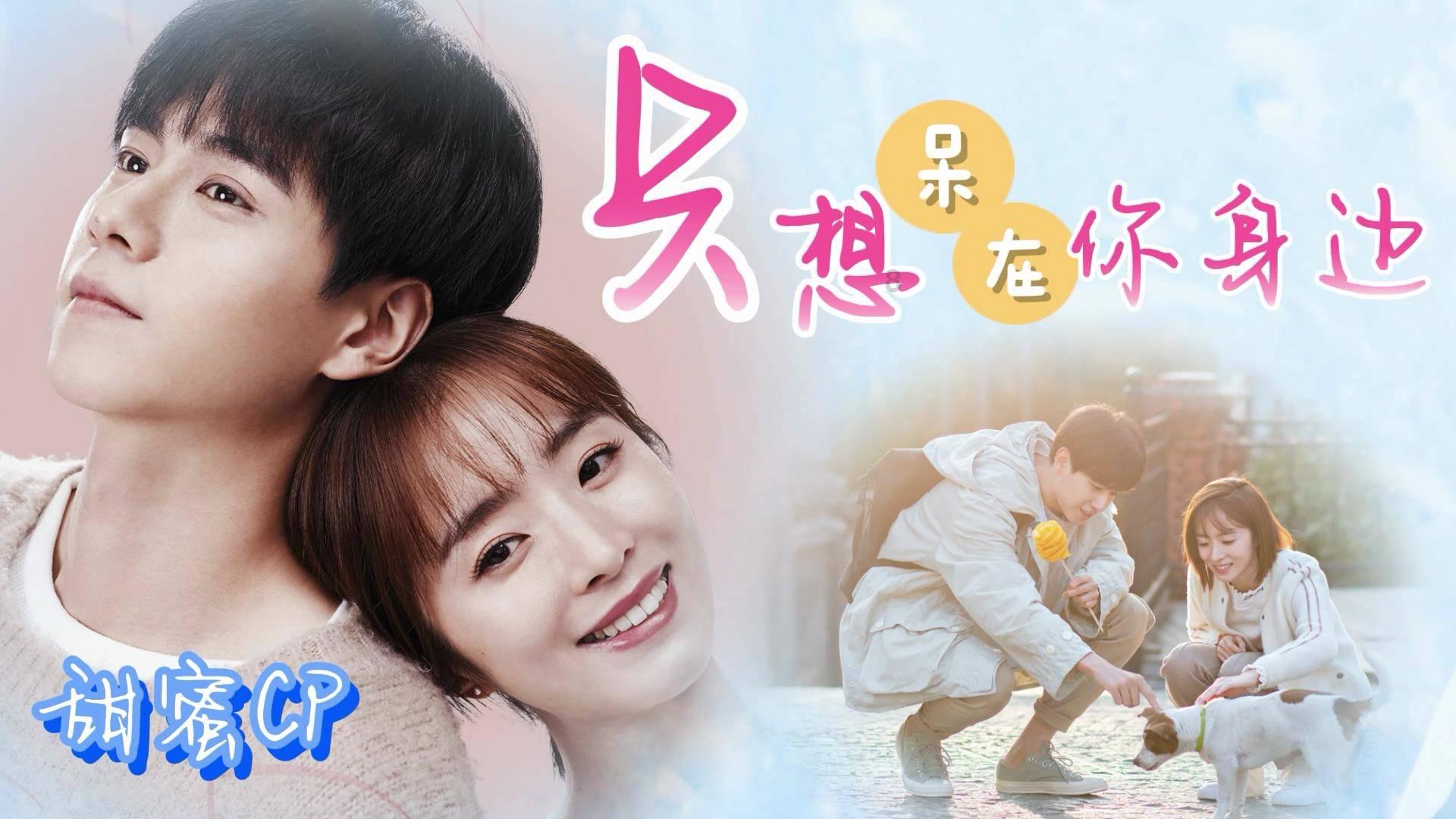 救援卷耳兔